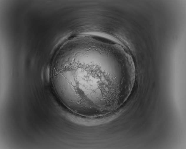 X0000085060014200703051449