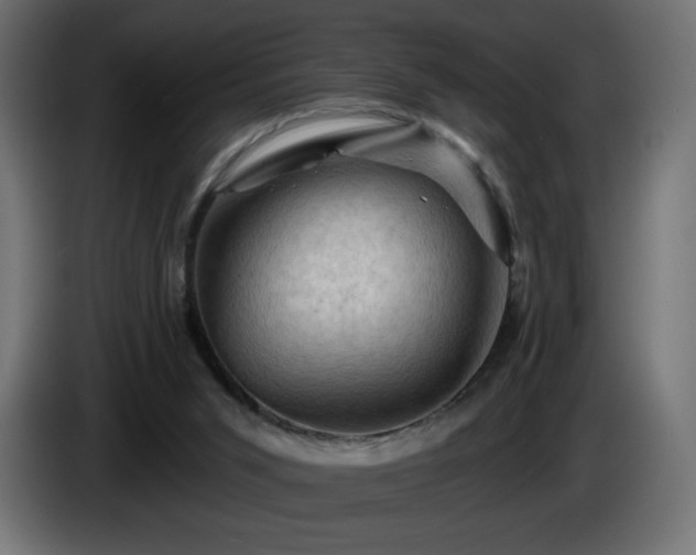 X0000085060015200703051449