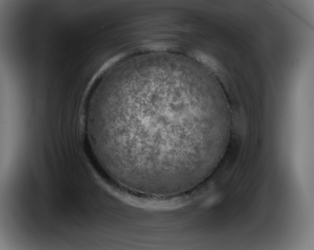 X0000085060016200703051449