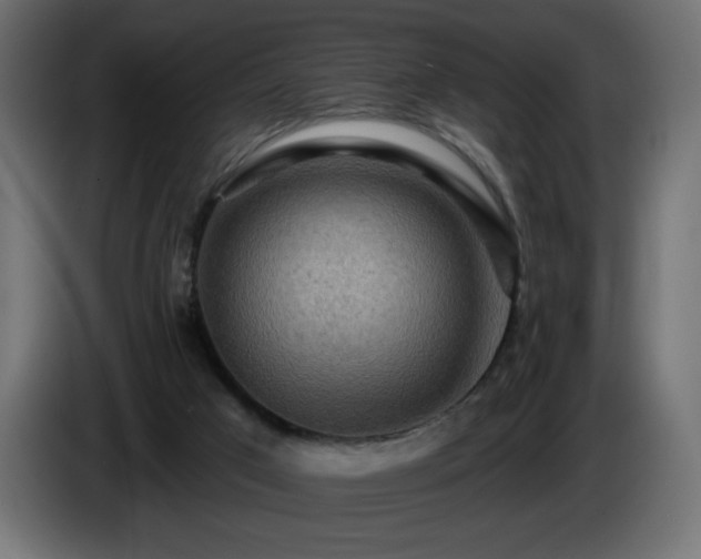 X0000085060017200703051449