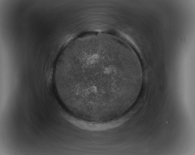 X0000085060018200703051449
