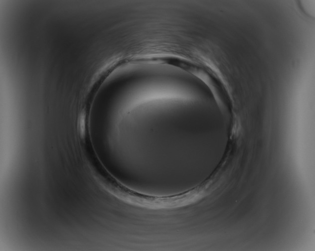 X0000085060019200703051449