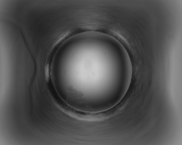 X0000085060020200703051449
