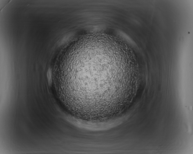 X0000085060022200703051449