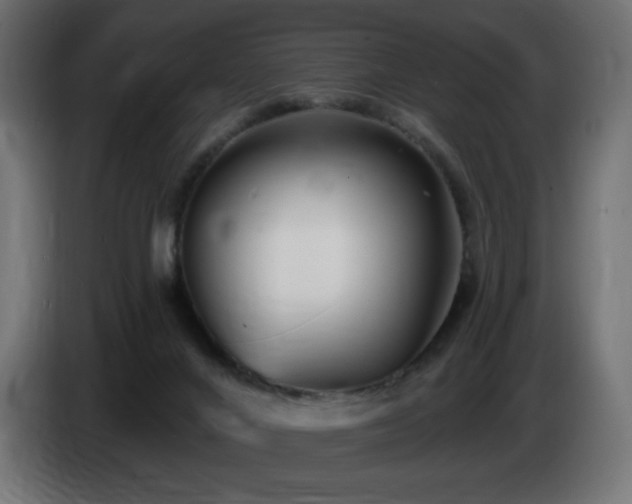 X0000085060024200703051449