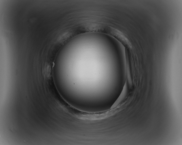 X0000085060025200703051449