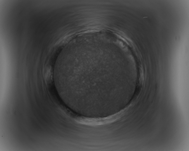 X0000085060029200703051448