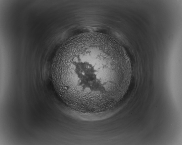 X0000085060030200703051448
