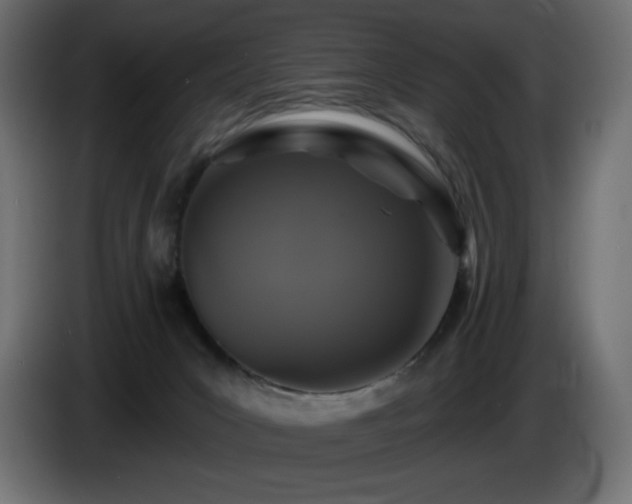 X0000085060031200703051448