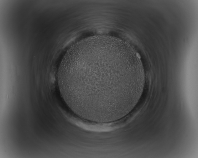 X0000085060032200703051448