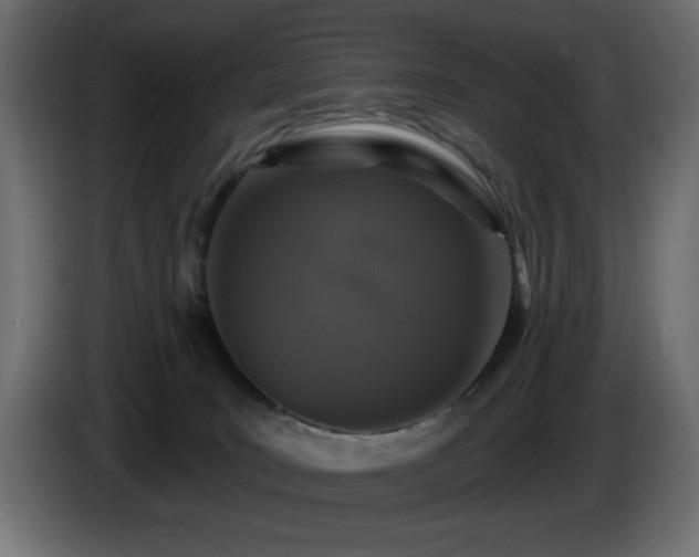 X0000085060035200703051448