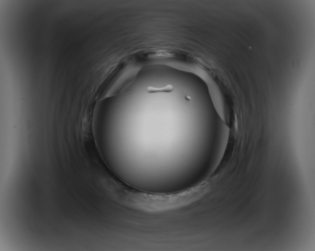 X0000085060037200703051448