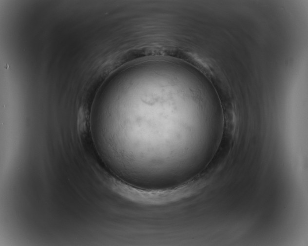 X0000085060038200703051448