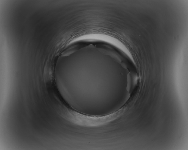 X0000085060039200703051448