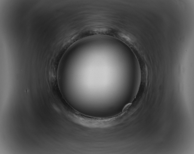 X0000085060040200703051448