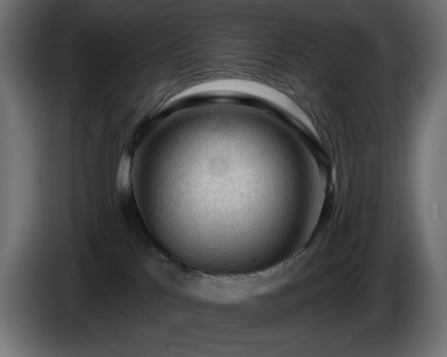 X0000085060041200703051448