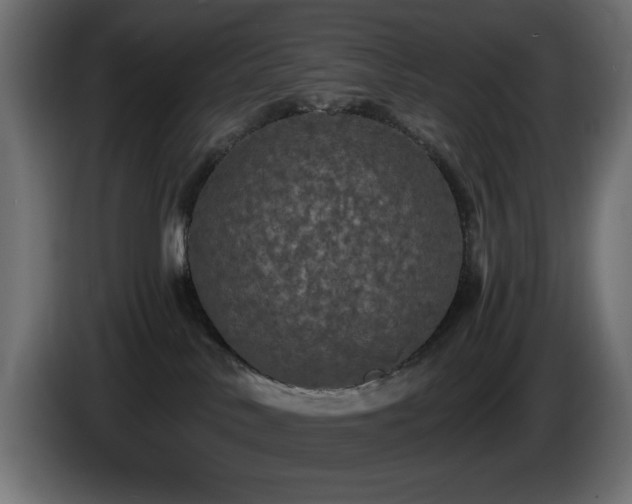 X0000085060042200703051448