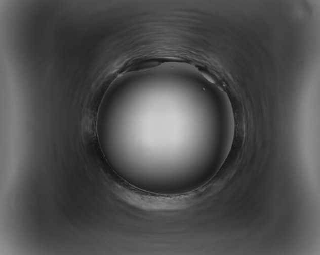 X0000085060044200703051448