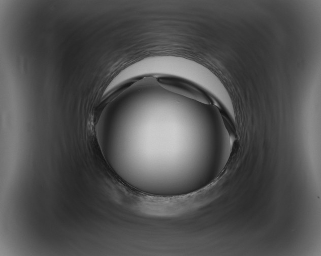 X0000085060045200703051448