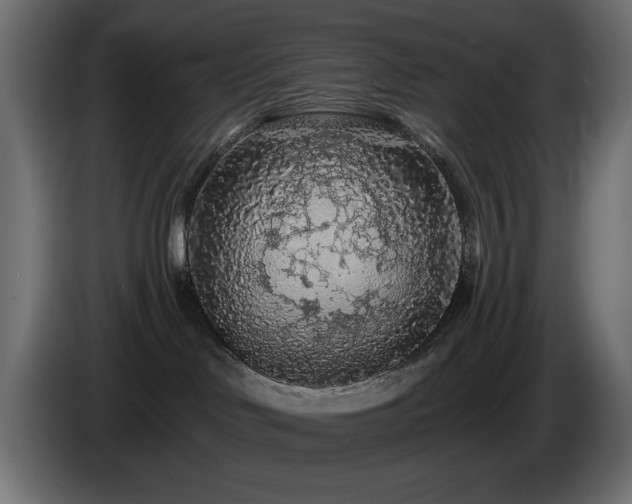 X0000085060046200703051448