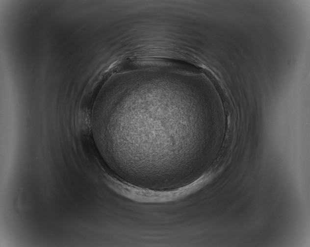 X0000085060048200703051448
