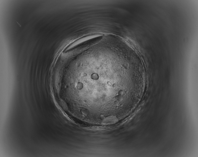 X0000085060049200703051448