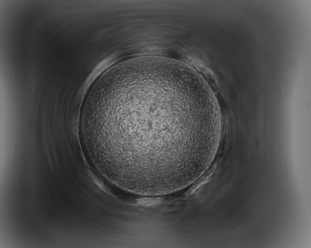 X0000085060051200703051448