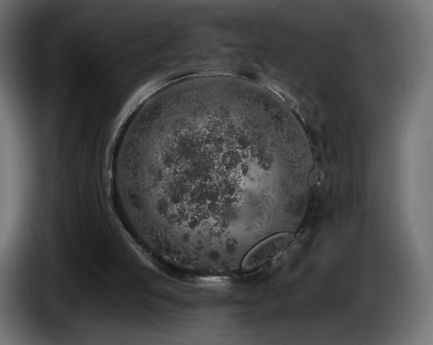 X0000085060053200703051448
