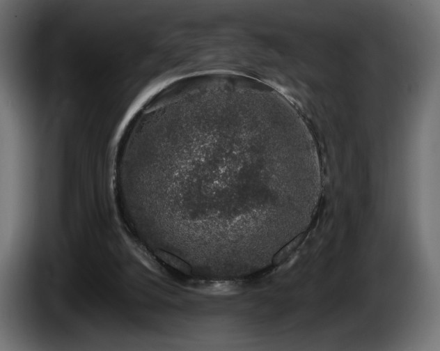 X0000085060056200703051448