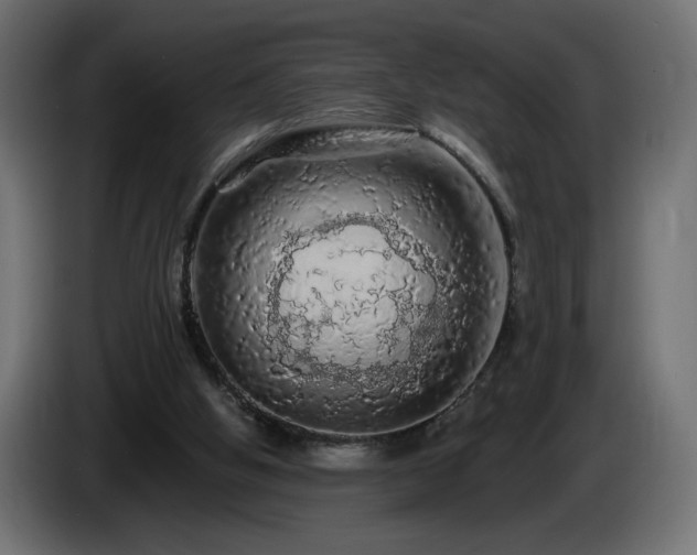 X0000085060058200703051448