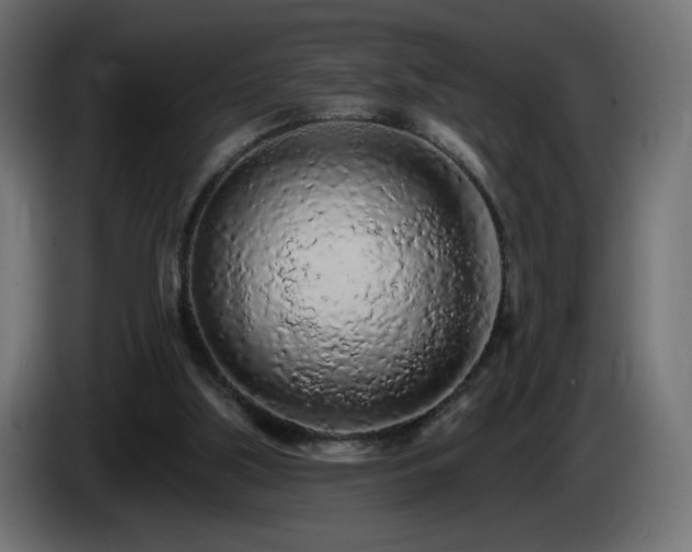 X0000085060059200703051448