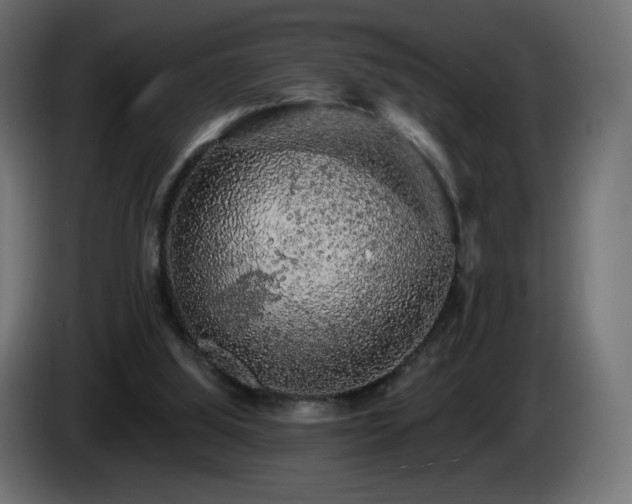 X0000085060060200703051448