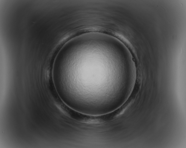 X0000085060063200703051448