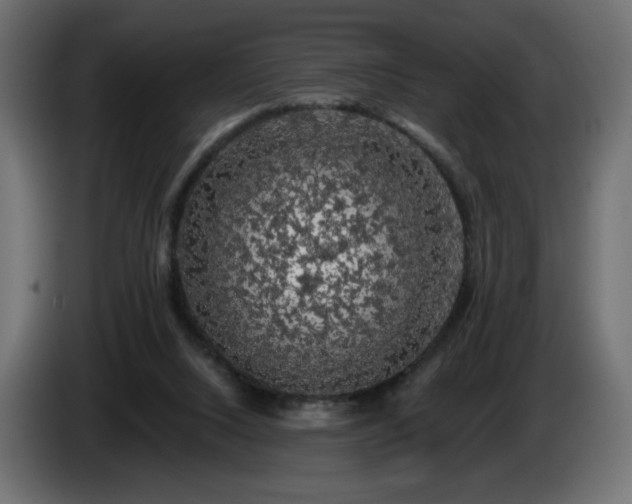 X0000085060064200703051448
