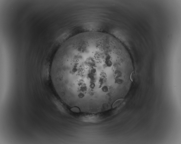 X0000085060065200703051448