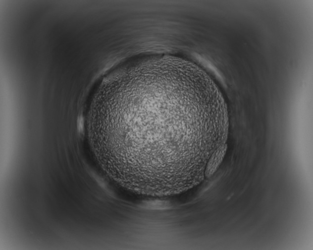 X0000085060067200703051448