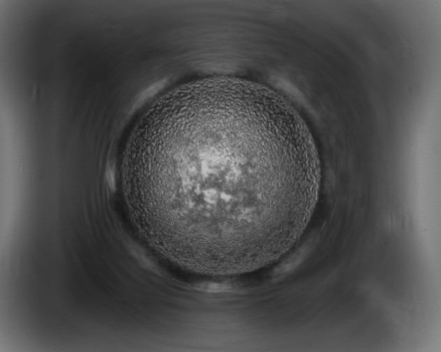 X0000085060068200703051448