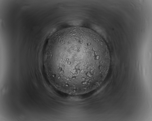 X0000085060069200703051448