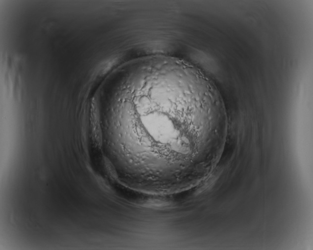 X0000085060070200703051448