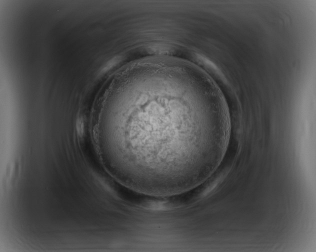 X0000085060071200703051448