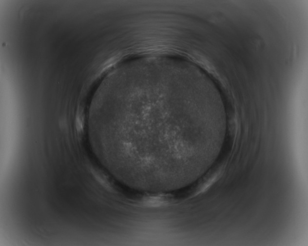 X0000085060072200703051448