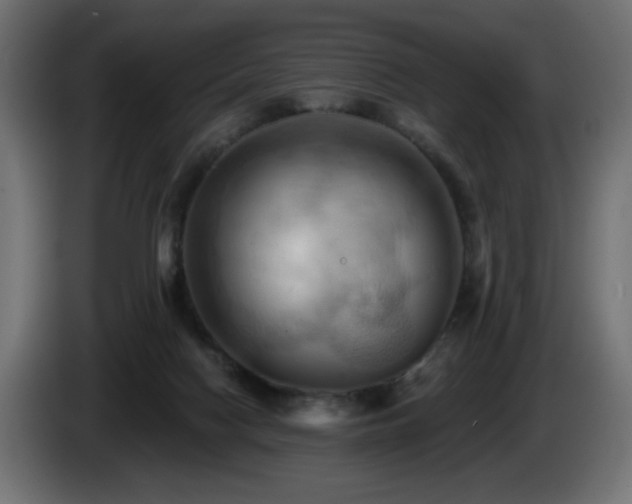 X0000085060074200703051448
