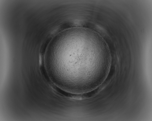 X0000085060075200703051448