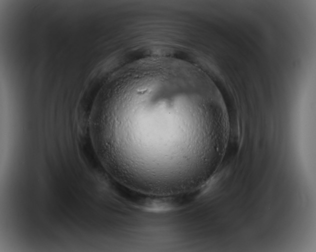 X0000085060078200703051448