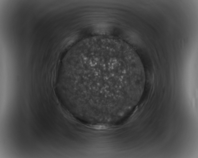 X0000085060080200703051448