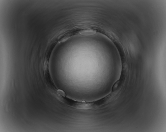 X0000085060081200703051448