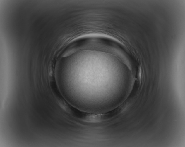 X0000085060084200703051448