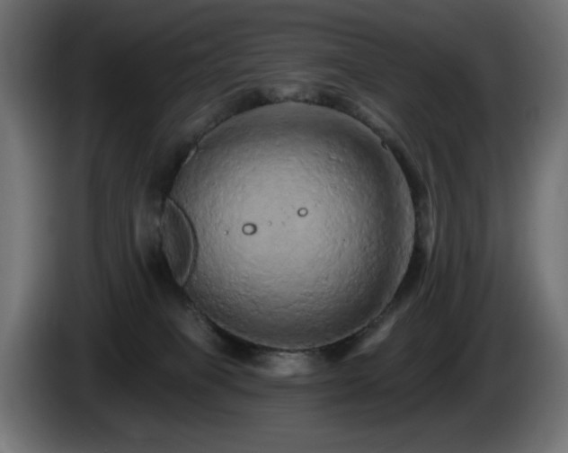 X0000085060085200703051448