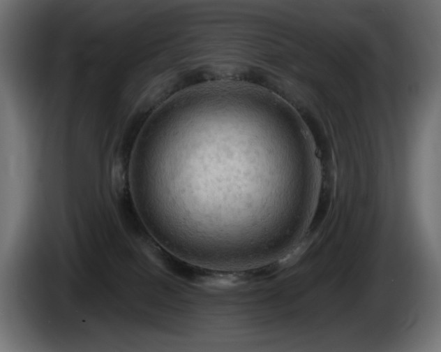 X0000085060086200703051448