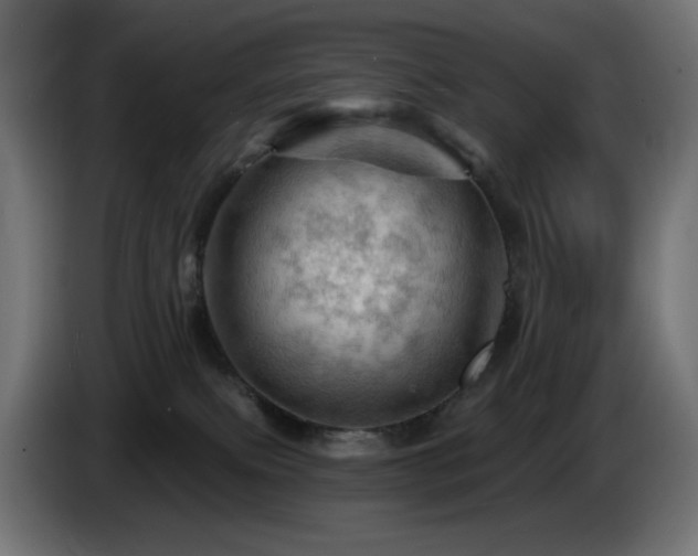 X0000085060087200703051448
